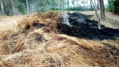 দুপচাঁচিয়ায় নৌকা প্রতীকের দুইটি অফিস ও চারটি খড়ের পালায় আগুন