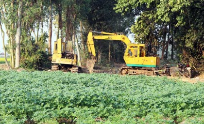 শেরপুরে অবৈধভাবে মাটি কাটায় হুমকিতে ফসলি জমি