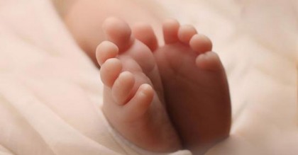 ঢাবির ডাস্টবিনে মিললো নবজাতকের মরদেহ
