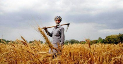 চাল-গমে ভর্তুকি: ভারতের বিরুদ্ধে মামলার দাবি যুক্তরাষ্ট্রে
