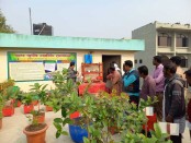 নন্দীগ্রামে ছাদ বাগান স্থাপনে পথ দেখাচ্ছে ছাদ কৃষি লার্নিং সেন্টার