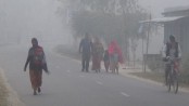 ৭ জেলায় বইছে শৈত্যপ্রবাহ, শীত আরও বাড়বে
