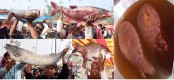 গাবতলীর ঐতিহ্যবাহী
পোড়াদহ মেলা অনুষ্ঠিত