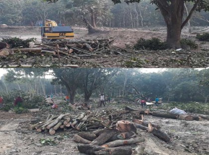 মান্দায় বাগান সাবাড় করে খনন করা হচ্ছে পুকুর