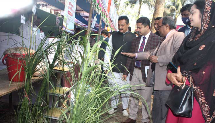 নন্দীগ্রামে প্রাণীসম্পদ প্রদর্শনী মেলায় ২৬ খামারী পুরস্কৃত