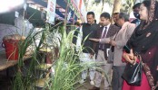 নন্দীগ্রামে প্রাণীসম্পদ প্রদর্শনী মেলায় ২৬ খামারী পুরস্কৃত