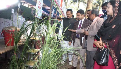 নন্দীগ্রামে প্রাণীসম্পদ প্রদর্শনী মেলায় ২৬ খামারী পুরস্কৃত