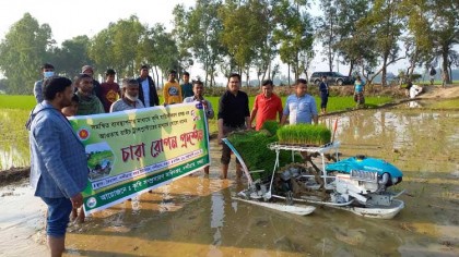 আধুনিক যন্ত্রের ছোঁয়ায় বদলে যাচ্ছে নন্দীগ্রামের কৃষি
কৃষকদের উৎসাহদিতে কৃষি অফিসার নিজেই চালালেন রাইস ট্রান্সপ্লান্টার