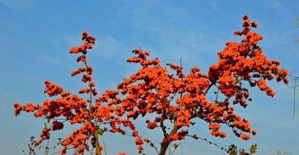 অপরিবর্তিত থাকতে পারে তাপমাত্রা
