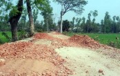 শেরপুরে ৪কি.মি.সড়ক সংস্কারে নানা অনিয়মের অভিযোগ