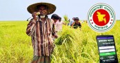 ২৫৬ উপজেলায় অ্যাপে কৃষকের কাছ থেকে ধান কিনবে সরকার
