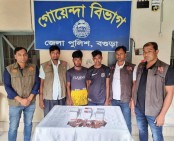 বগুড়ায় দেড় হাজার পিস
ট্যাপেন্টাডলসহ ২ জন গ্রেফতার