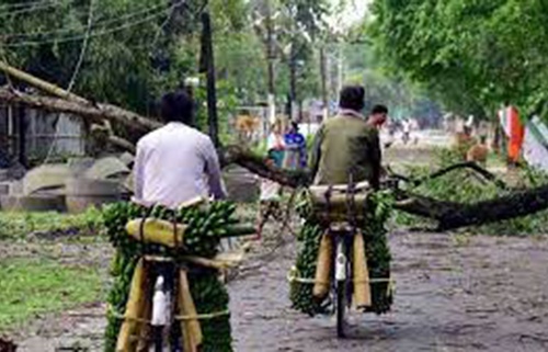 আসামে কালবৈশাখীর তাণ্ডব, ২০ জনের মৃত্যু
