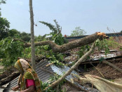 জয়পুরহাটে প্রবল ঝড়ে গাছ-পালাসহ কৃষিতে ব্যাপক ক্ষয়ক্ষতিঃ নিহত-১