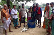 মান্দায় সংখ্যালঘুর পুকুর থেকে মাছ লুটের অভিযোগ