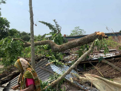 জয়পুরহাটে প্রবল ঝড়ে গাছ-পালাসহ কৃষিতে ব্যাপক ক্ষয়ক্ষতিঃ নিহত-১