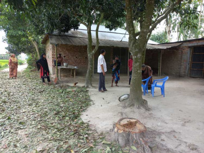 শিবগঞ্জে ময়দানহাট্টার চান্দার ধাওয়াকান্দি 
সড়কের সরকারি গাছ কাটার অভিযোগের তদন্ত
