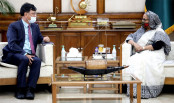 ডেলটা প্ল্যান বাস্তবায়নে এডিবির সহায়তা চাইলেন প্রধানমন্ত্রী
