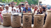 কাজিপুরে অভ্যন্তরীণ বোরো ধান ও চাল সংগ্রহের উদ্বোধন 