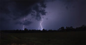 ধান কাটার সময় বজ্রপাতে দুই কৃষক নিহত
