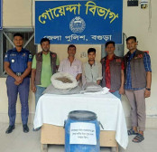বগুড়ায় মাটিতে পুঁতে রাখা ৯
কেজি গাঁজাসহ ২ জন গ্রেফতার 