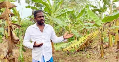 শ্রীলঙ্কার খাদ্য সংকট ‘মানবসৃষ্ট’
