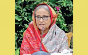 জনগণের আশীর্বাদ ছিল বলেই পদ্মা সেতু হয়েছে
