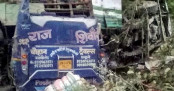 ভারতে বাস উল্টে খাদে, নিহত ২৫
