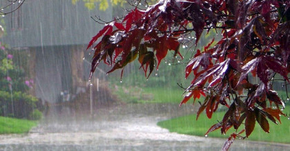 উত্তরাঞ্চলে ভারি বৃষ্টিপাত হতে পারে
