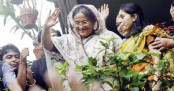 শেখ হাসিনার কারামুক্তি দিবস আজ
