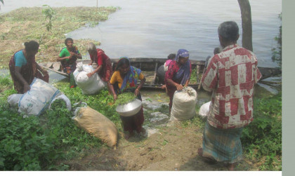 সারিয়াকান্দিতে যমুনার পানি বৃদ্ধি অব্যাহত
৫৩ হাজার মানুষ পানি বন্ধি 