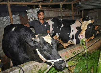 বগুড়ায় ১৫ লাখে বিক্রির
অপেক্ষায় জসীম ও যুবরাজ