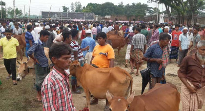 নওগাঁর কীর্ত্তিপুর পশুর হাটে অতিরিক্ত হাসিল আদায়
