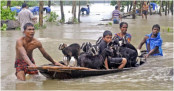 দেশে বন্যায় ১১৬ জনের মৃত্যু, রোগাক্রান্ত ১৬৯৮১
