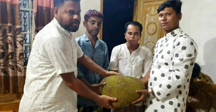 ব্রাহ্মণবাড়িয়ায় এক কাঁঠাল বিক্রি হলো ২৬ হাজারে!
