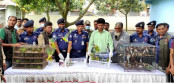 দুপচাঁচিয়ায় অবৈধভাবে বন্যপাখি সংরক্ষণের অভিযোগে গ্রেপ্তার ১