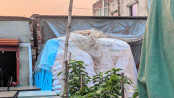 হঠাৎ করে ইউরিয়া সার সংকটে নন্দীগ্রাম বাজার