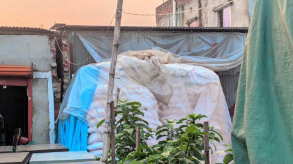 হঠাৎ করে ইউরিয়া সার সংকটে নন্দীগ্রাম বাজার