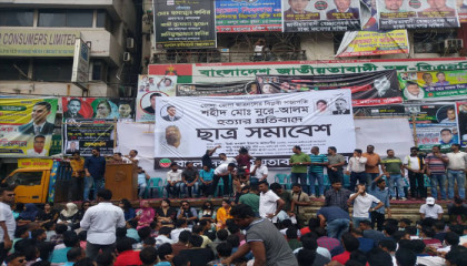 নয়াপল্টনে চলছে ছাত্রদলের সমাবেশ
