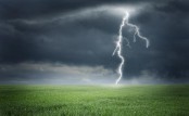 ধুনটে বজ্রপাতে গরুসহ কৃষকের মৃত্যু