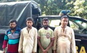 কুড়িগ্রাম থেকে মাদক যাচ্ছিলো 
নাটোরে: বগুড়ায় র‍্যাবের হাতে আটক