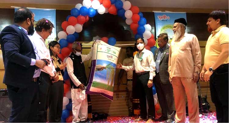 নতুন জাতের সুরভী-১ হাইব্রিড ধানের
জাত উন্মোচন: বগুড়ায় বর্ণাঢ্য প্রচারণা