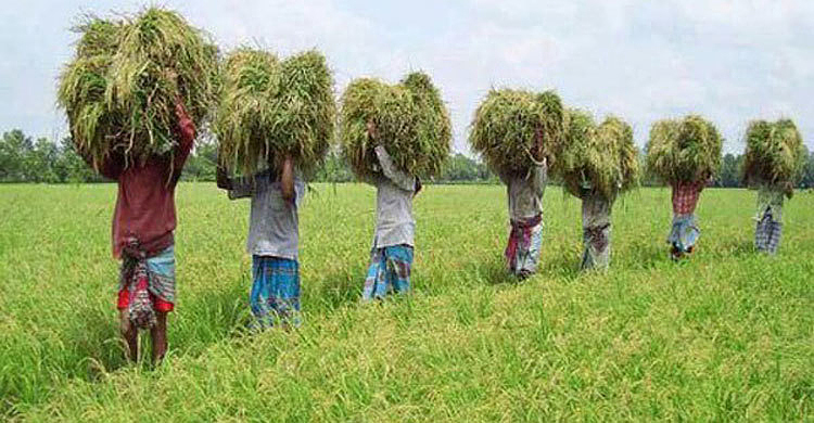 জাতীয় উৎপাদনশীলতা দিবস আজ
