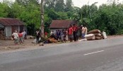নরসিংদীতে ট্রাক-সিএনজি সংঘর্ষে নিহত ৪
