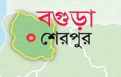 বগুড়ার শেরপুরে জেলা পরিষদের নির্বাচন সম্পন্ন