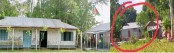 কাউনিয়ায় অনলাইনে মিথ্যা তথ্য দিয়ে প্রাথমিক বিদ্যালয়ে শিক্ষক বদলি