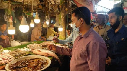 বগুড়ায় দেশীয় মাছে বিষাক্ত রং 
মিশিয়ে বিক্রি: ব্যবসায়ীকে জরিমানা