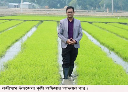 নন্দীগ্রামে আদর্শ বীজতলা
তৈরীতে ঝুঁকছে কৃষকরা