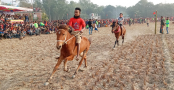 গাবতলীতে ৩দিনব্যাপী ঘোড় দৌড়ের
ফাইনাল ও পুরস্কার বিতরণী অনুষ্ঠিত  
