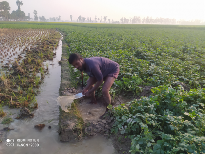 ক্ষেতলালে গভীর নলকূপ মালিকের শত্রুতা
বলি হলেন কৃষক